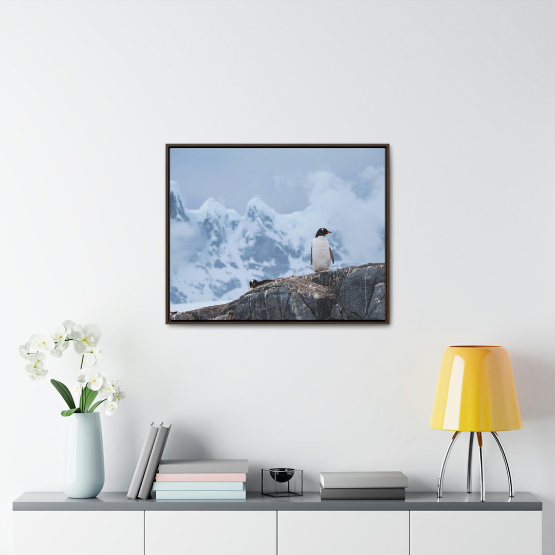 Poised Penguin - Canvas with Frame