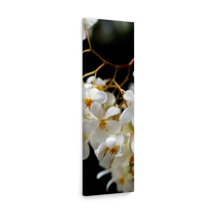 Floral Network - Canvas