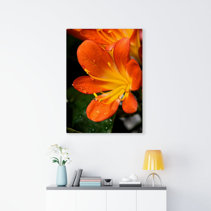 Bright Bush Lily - Canvas