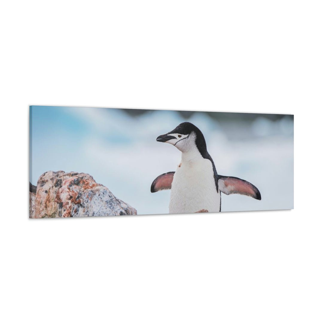 Stretched Penguin - Canvas