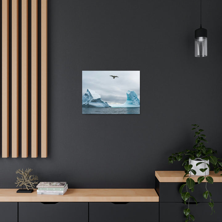 Antarctic Flight - Canvas