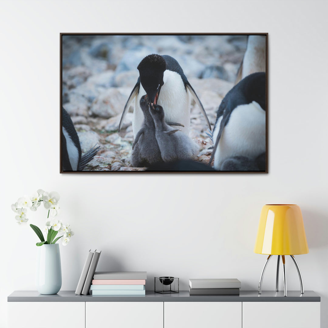 Feeding Time - Canvas with Frame