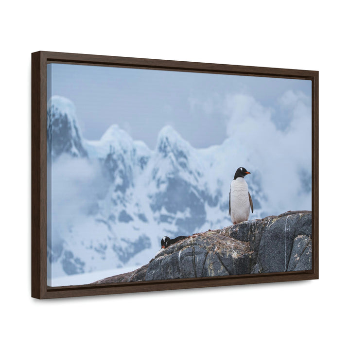 Poised Penguin - Canvas with Frame