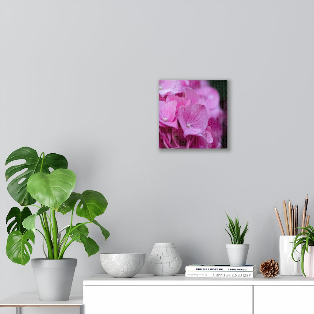 Pink Hydrangea Detail - Canvas