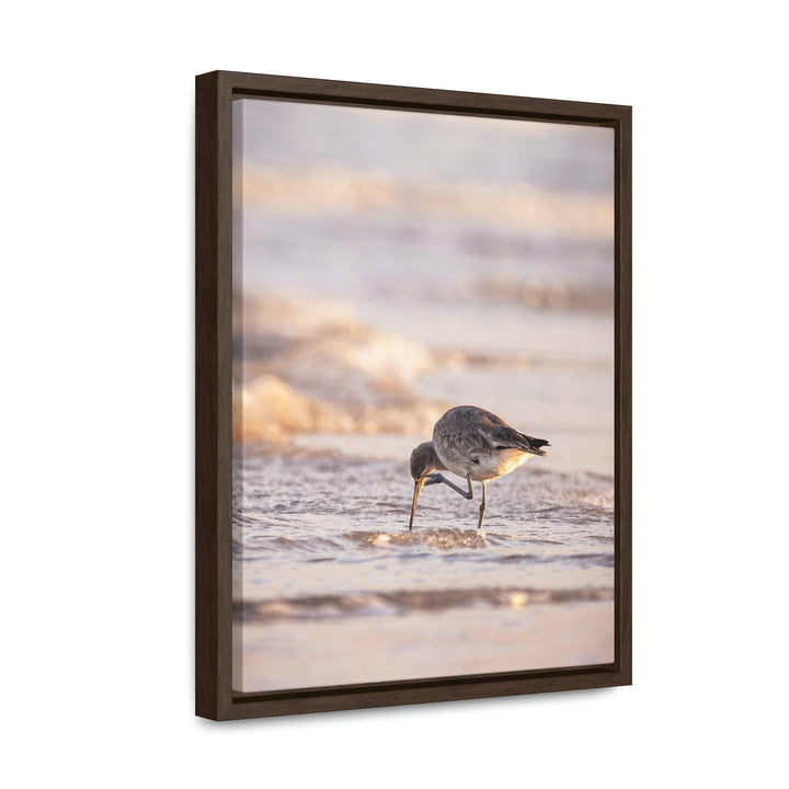 Willet Itch - Canvas with Frame