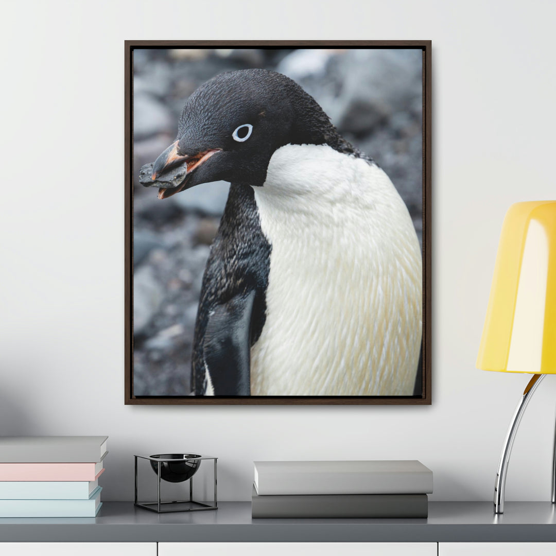 A Penguin's Pebble - Canvas with Frame