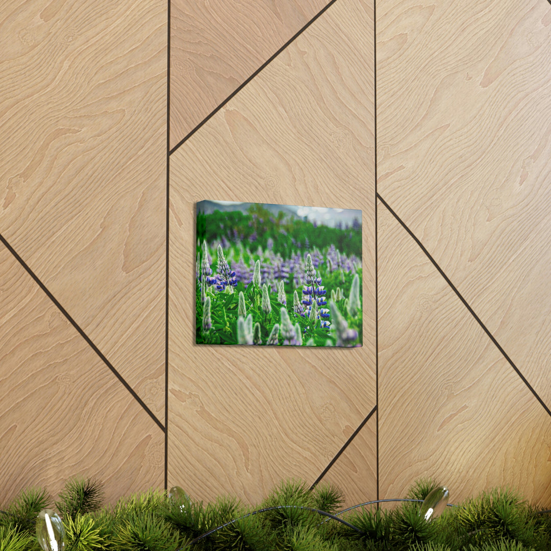 Glowing Lupin with Mountains - Canvas