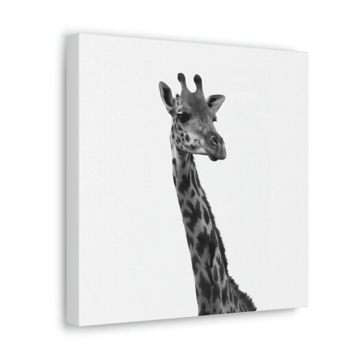 Giraffe Portrait in Black and White  - Canvas