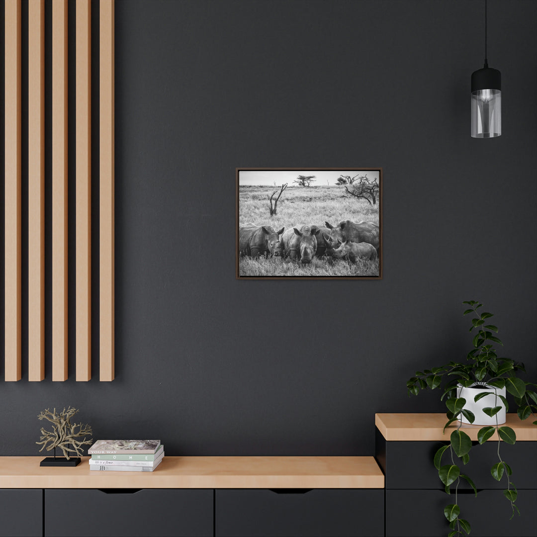 Rhino Family in Black and White - Canvas with Frame