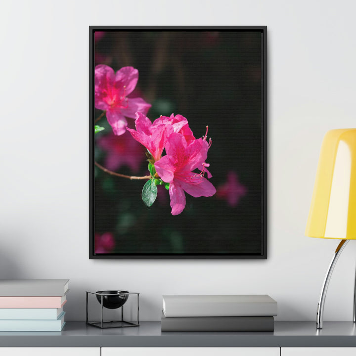 Standout Azalea - Canvas with Frame - Visiting This World