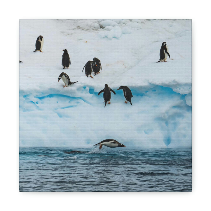 Porpoising Penguin - Canvas