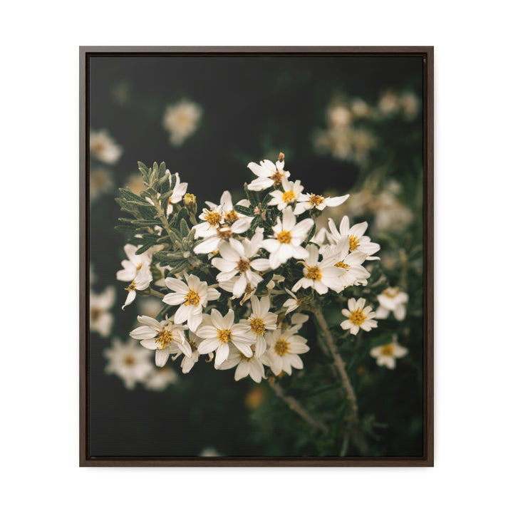 A Touch of White - Canvas with Frame