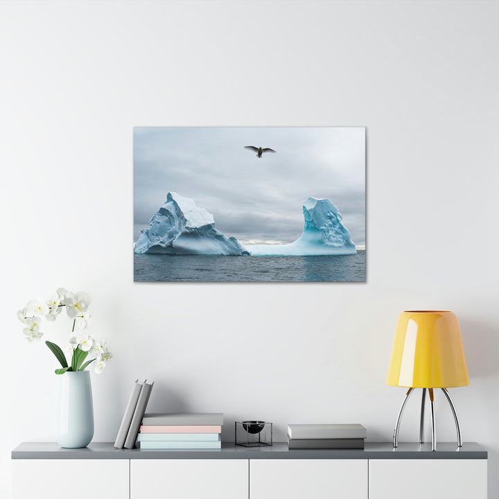 Antarctic Flight - Canvas