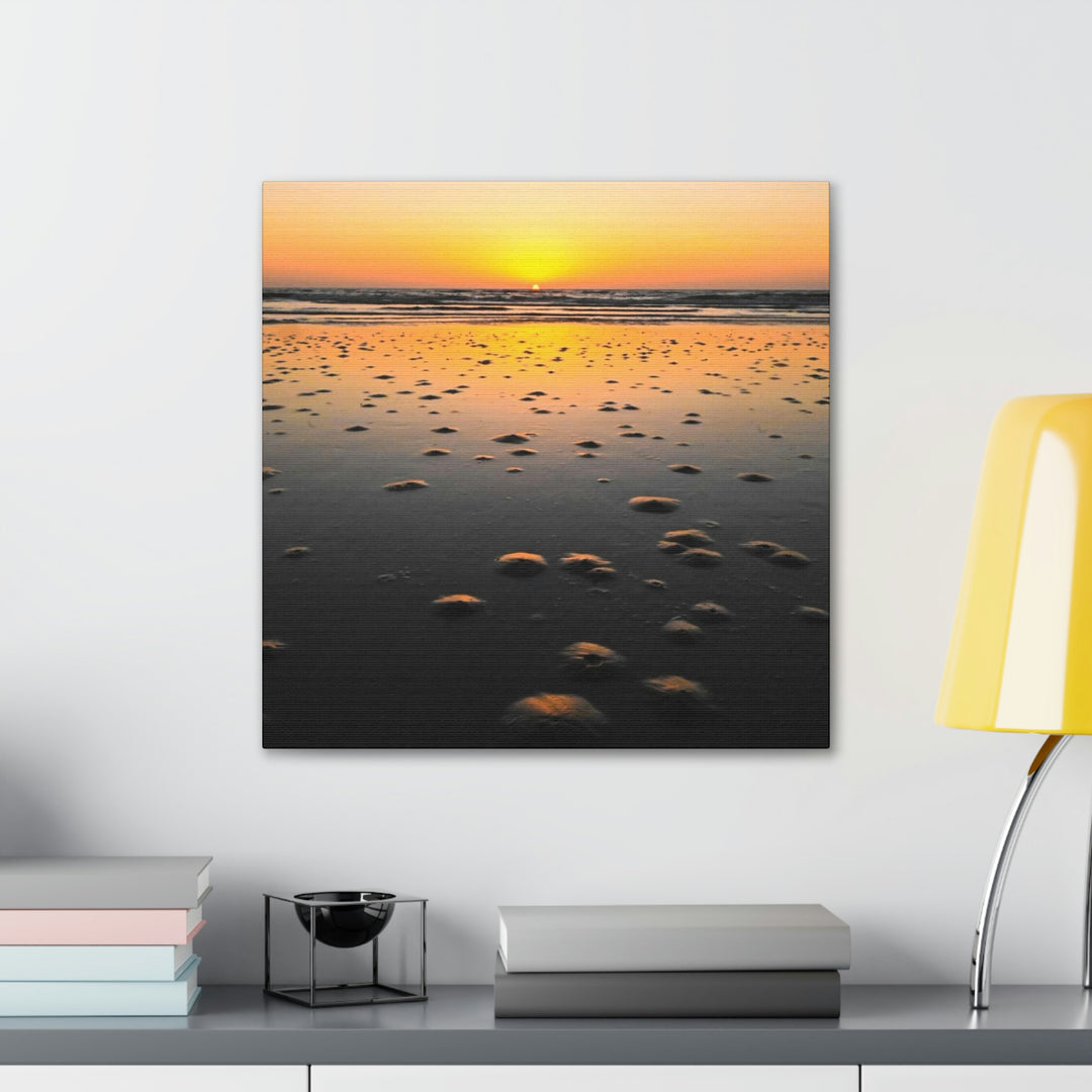 Burrows at Sunrise - Canvas