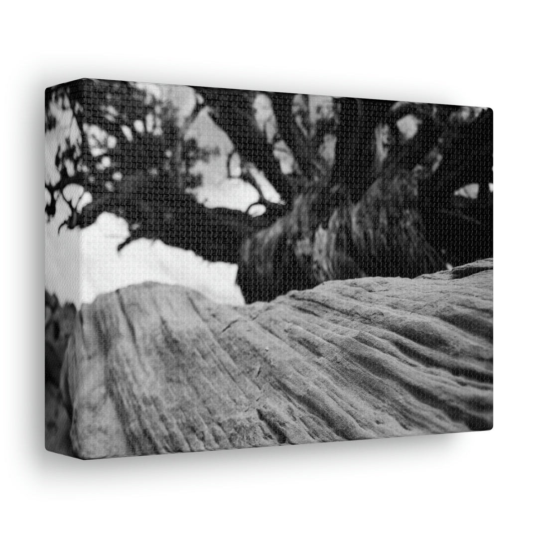 Desert Reach in Black and White - Canvas