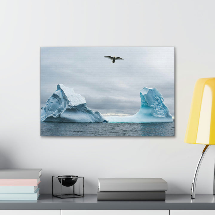 Antarctic Flight - Canvas