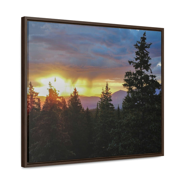 Rainy Sunset Through the Trees - Canvas with Frame