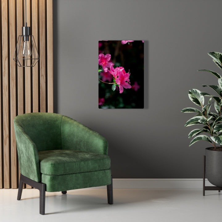 Standout Azalea - Canvas