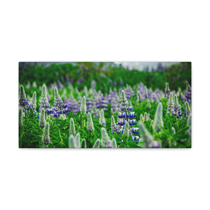 Glowing Lupin with Mountains - Canvas