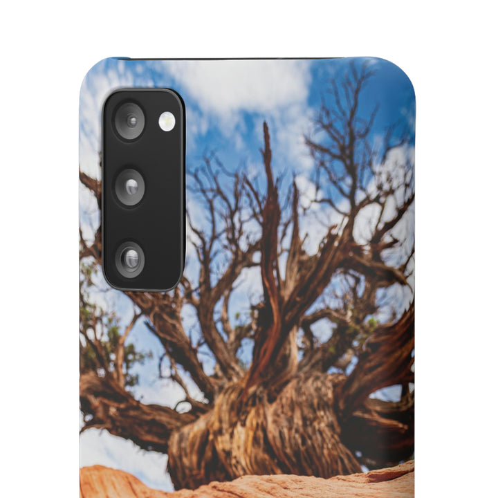 Desert Reach - Phone Case