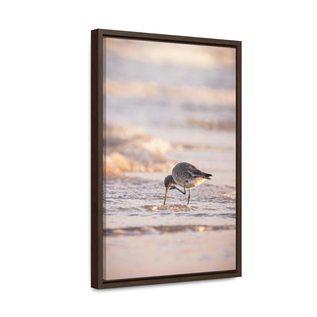 Willet Itch - Canvas with Frame