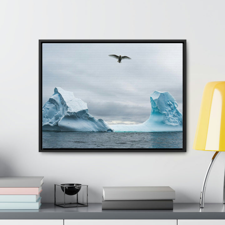 Antarctic Flight - Canvas with Frame