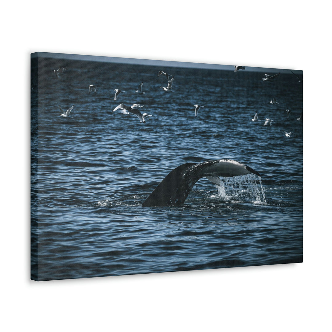 Feeding Tail - Canvas