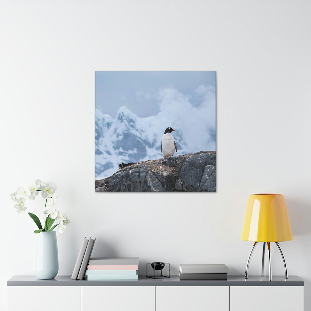 Poised Penguin - Canvas