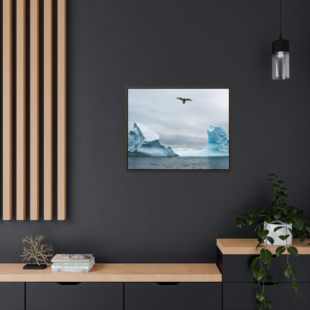 Antarctic Flight - Canvas with Frame