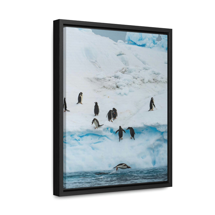 Porpoising Penguin - Canvas with Frame