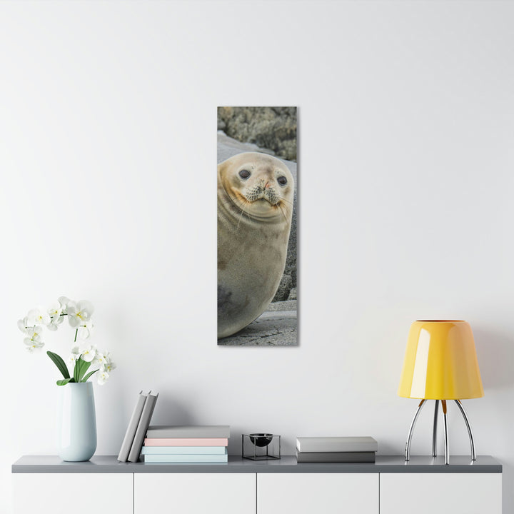 Weddell Smile - Canvas