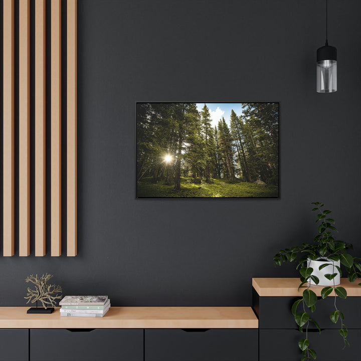 Forest Light - Canvas with Frame