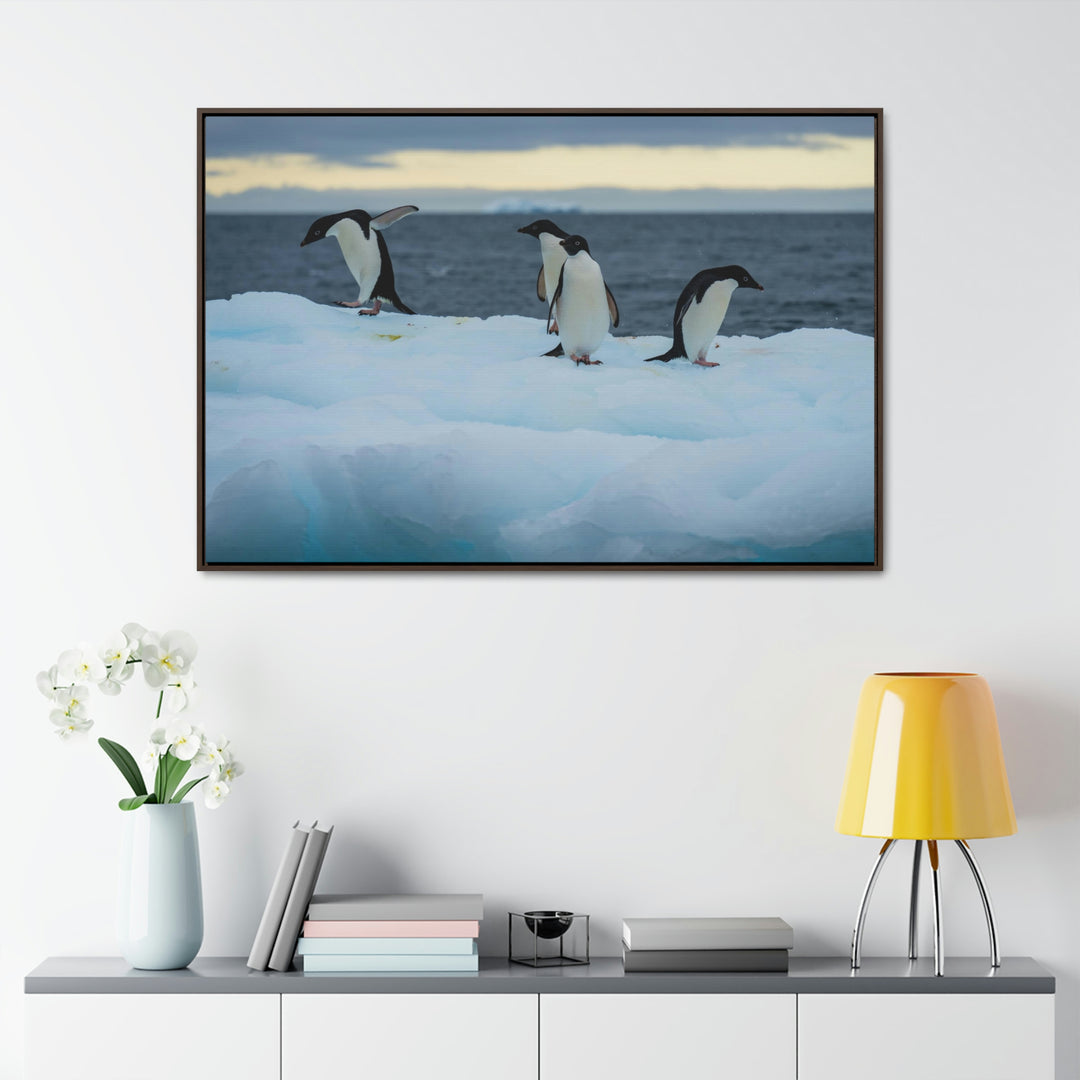 Penguin Dance - Canvas with Frame