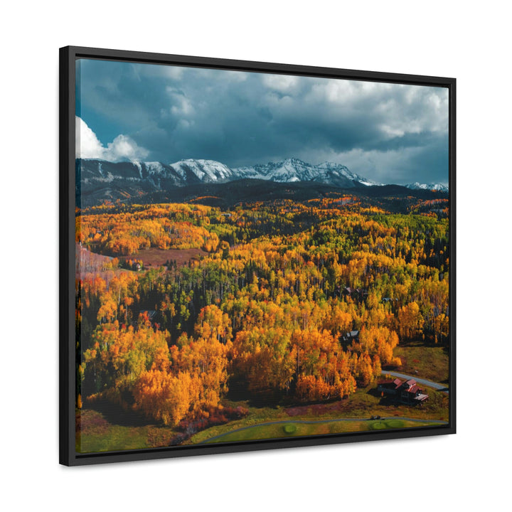 Golds of Autumn - Canvas with Frame