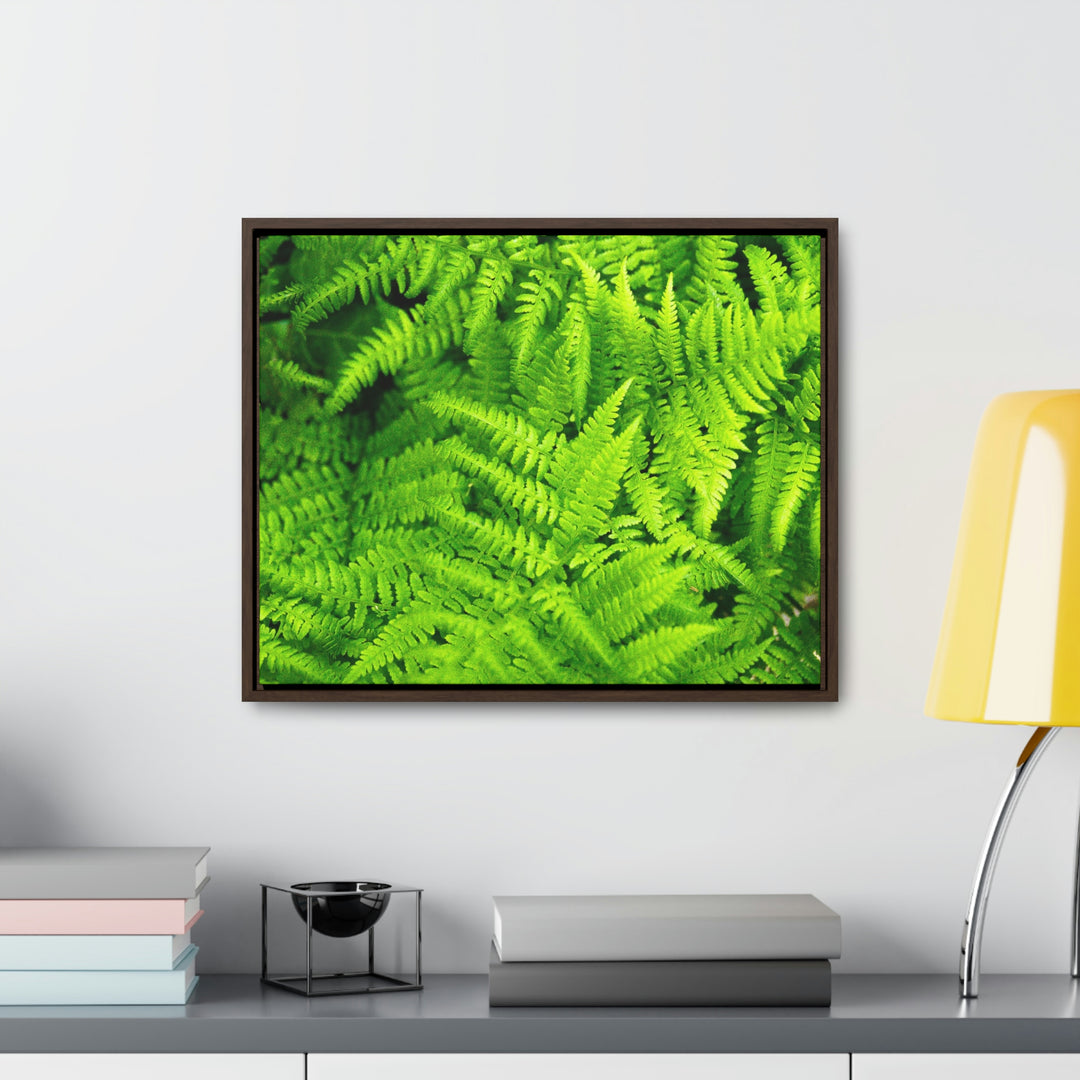 Ferns, Ferns, Ferns - Canvas with Frame