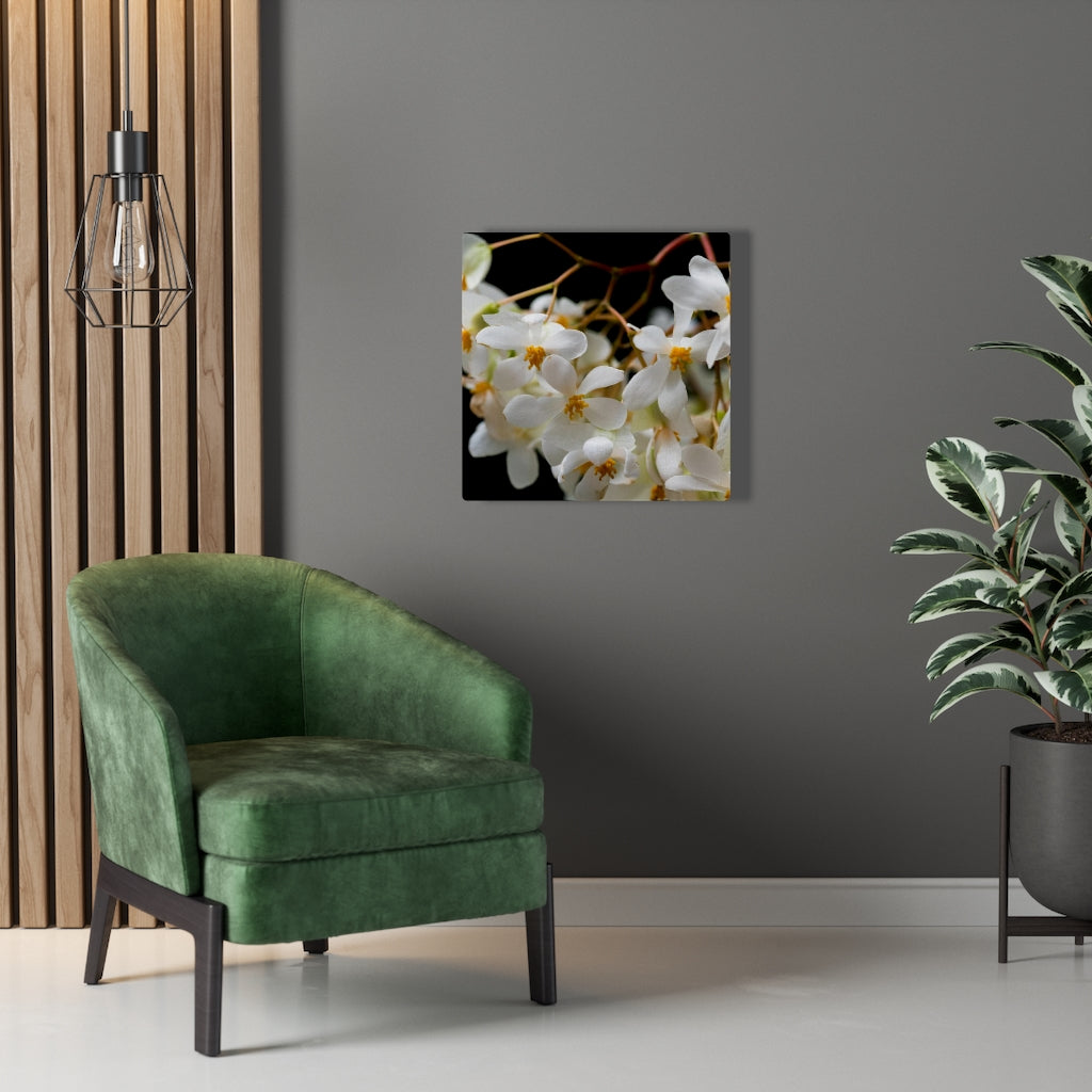 Floral Network - Canvas