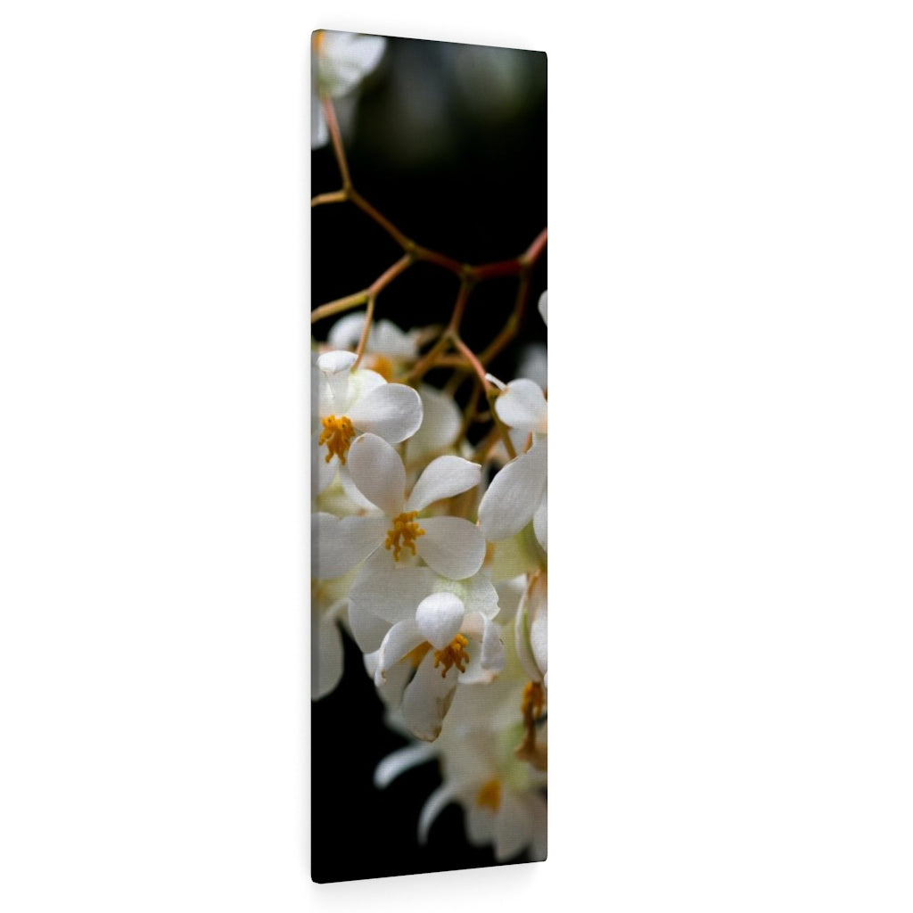 Floral Network - Canvas