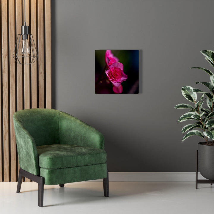 Hybrid Tea Lily - Canvas