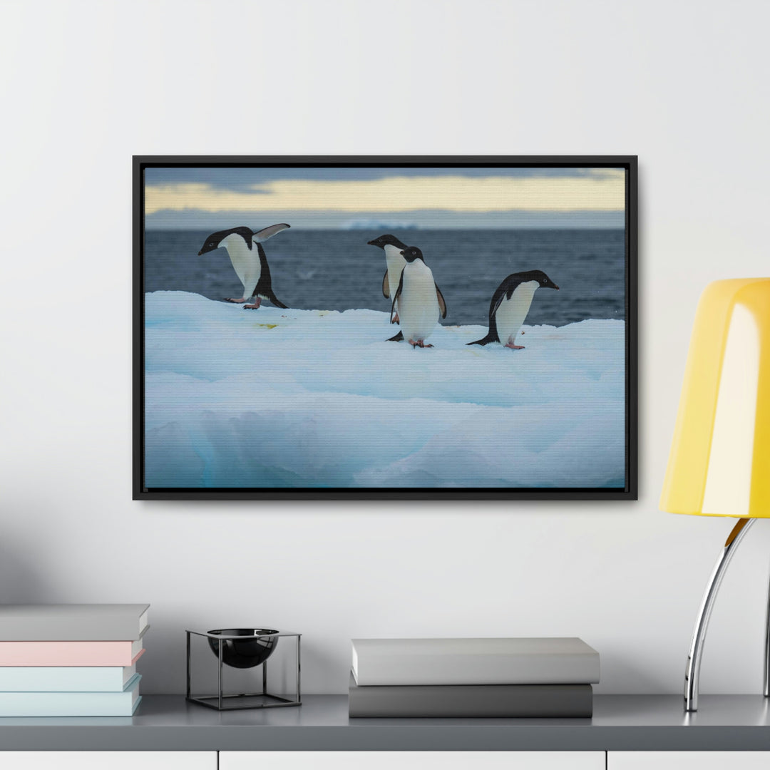 Penguin Dance - Canvas with Frame