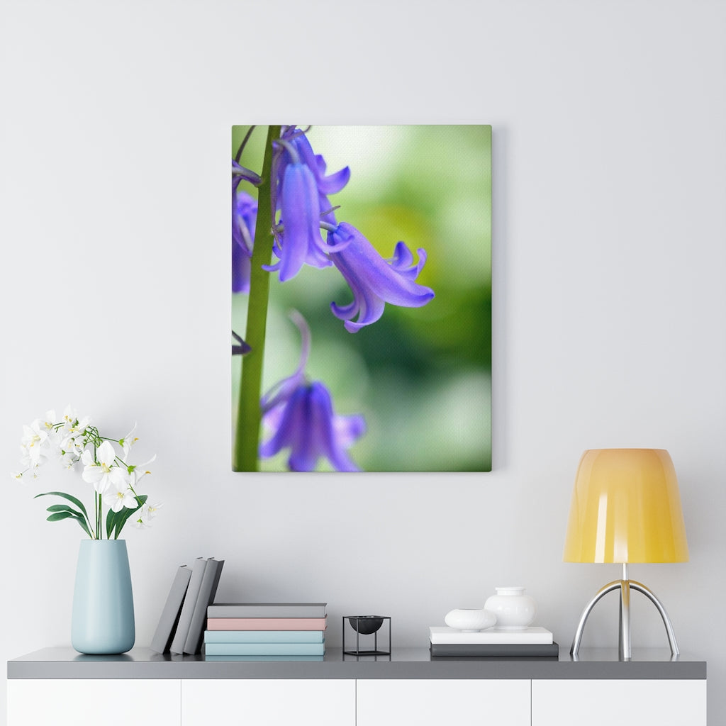 Delicate Bell - Canvas