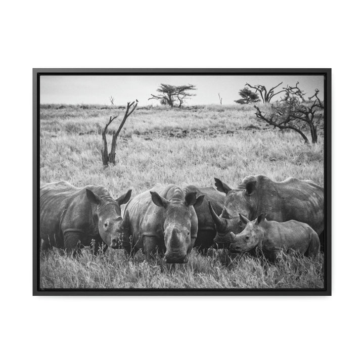 Rhino Family in Black and White - Canvas with Frame