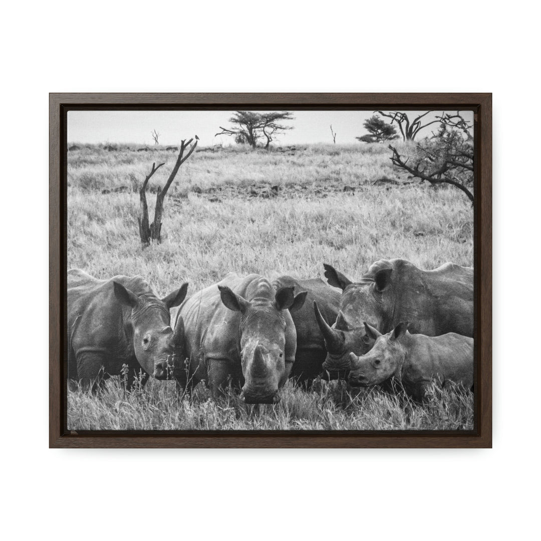 Rhino Family in Black and White - Canvas with Frame