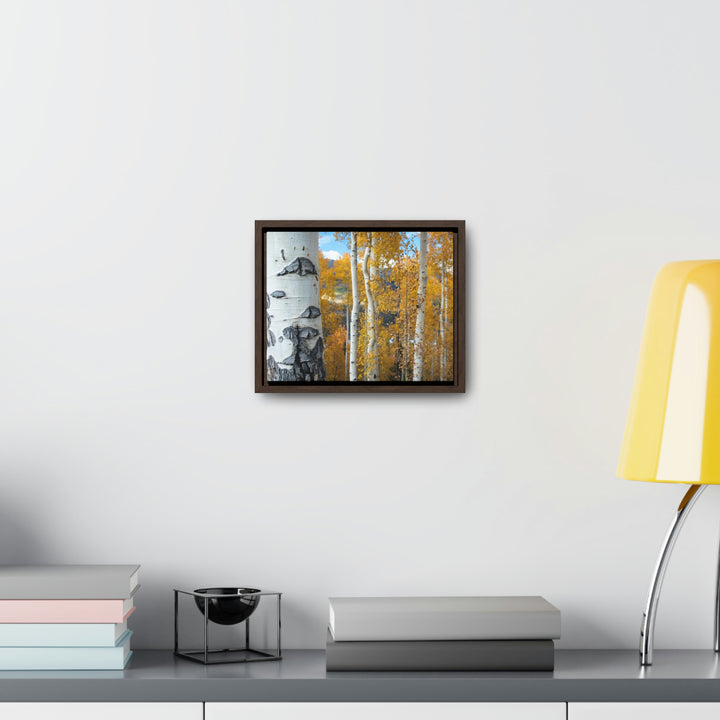 Aspens Changing - Canvas with Frame