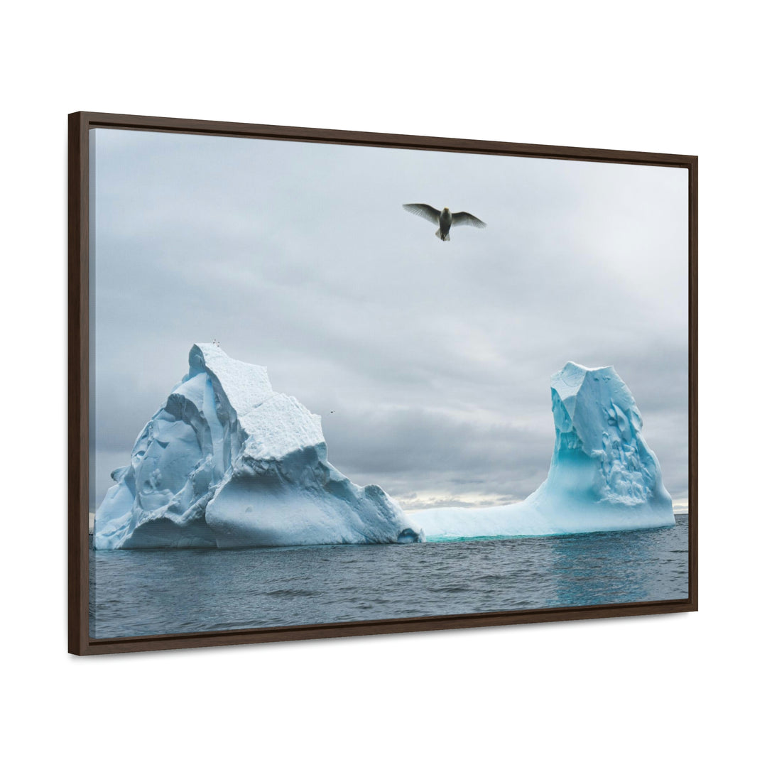 Antarctic Flight - Canvas with Frame