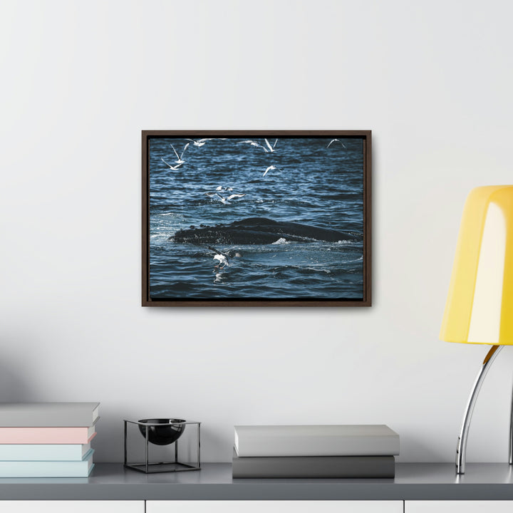 Humpback Hello - Canvas with Frame