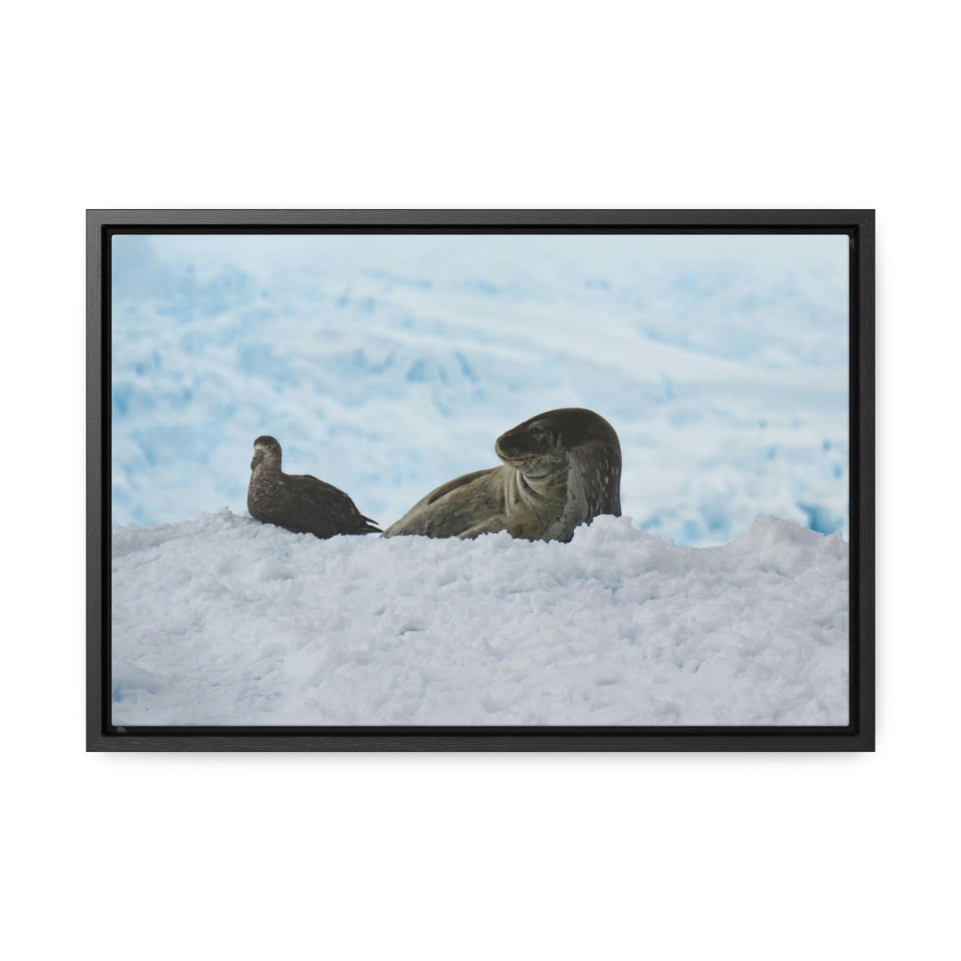 A Resting Pair - Canvas with Frame