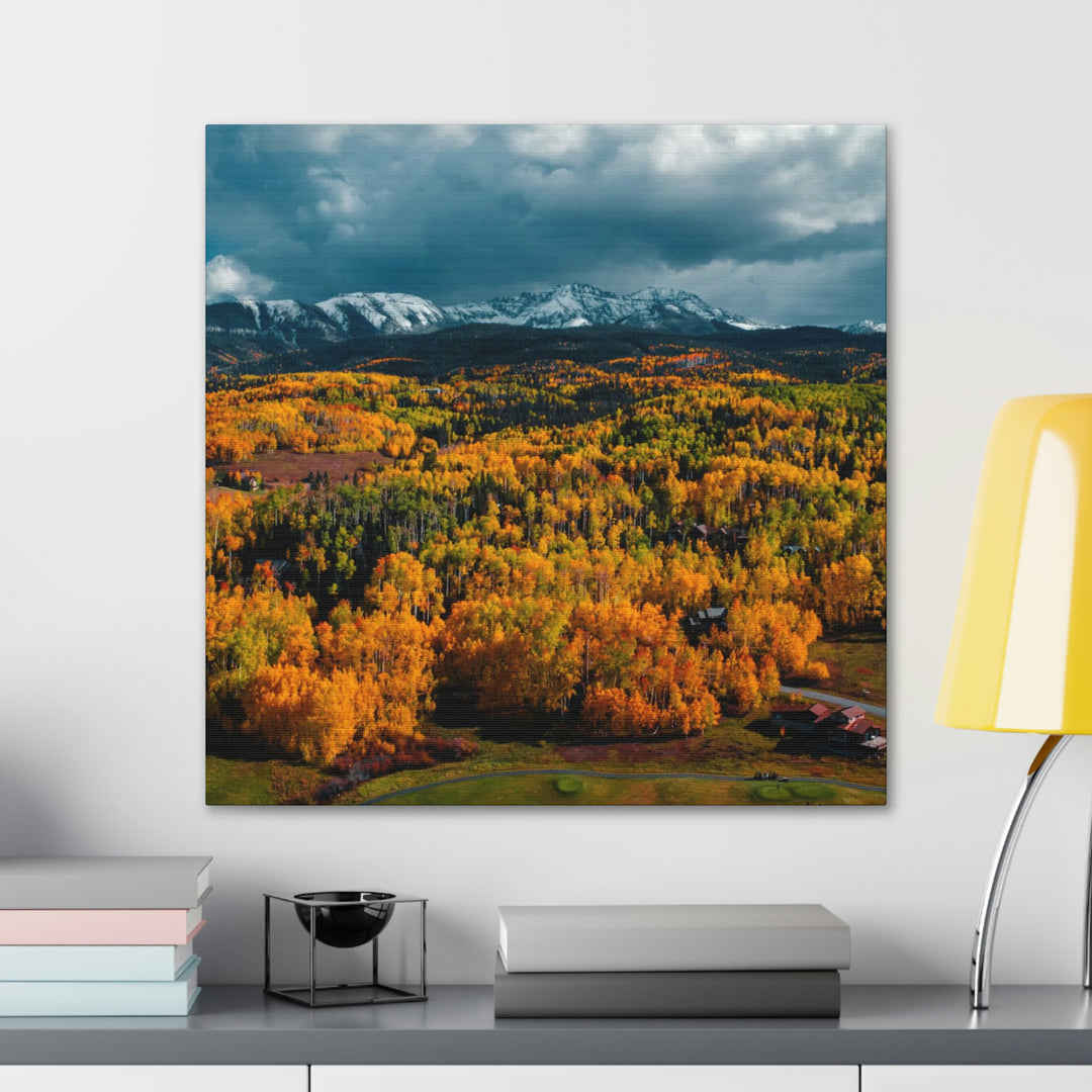 Golds of Autumn - Canvas