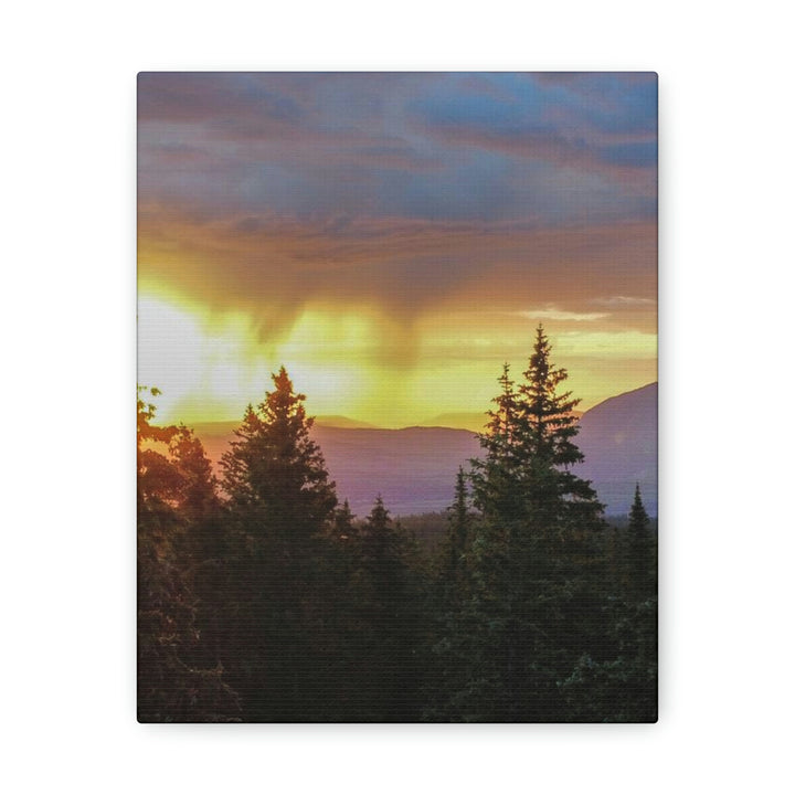 Rainy Sunset Through the Trees - Canvas