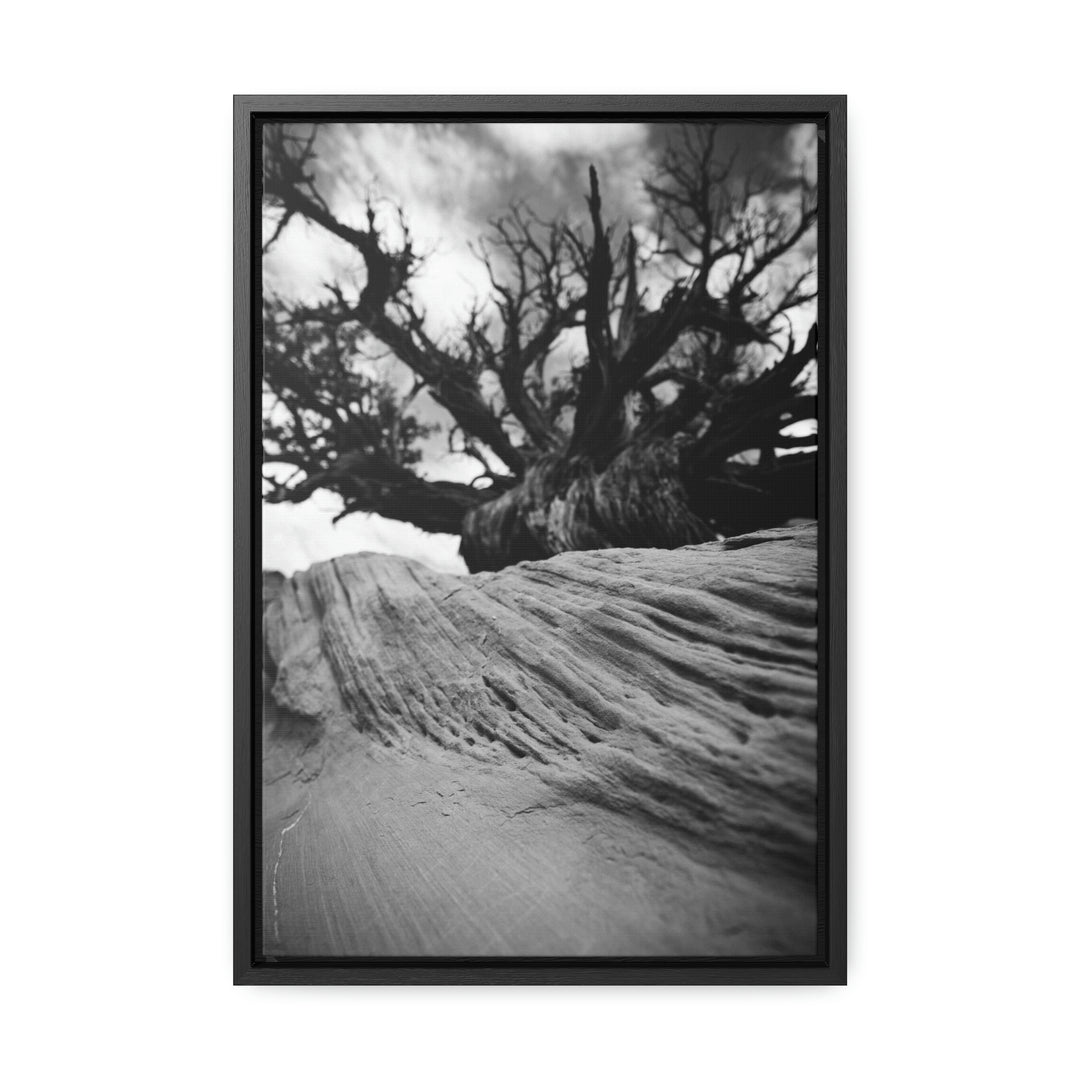 Desert Reach in Black and White - Canvas with Frame