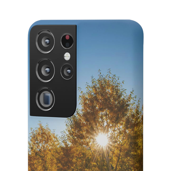 Sun Through the Aspens - Phone Case